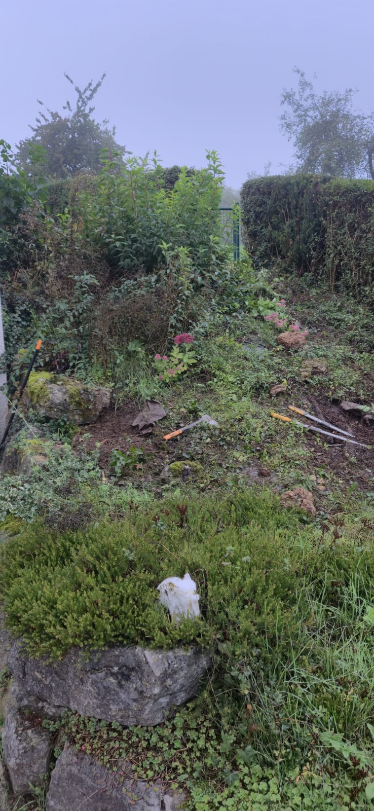 Garden photo 6